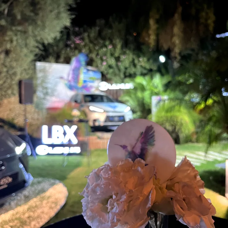 Lexus Zai Sergileme 6