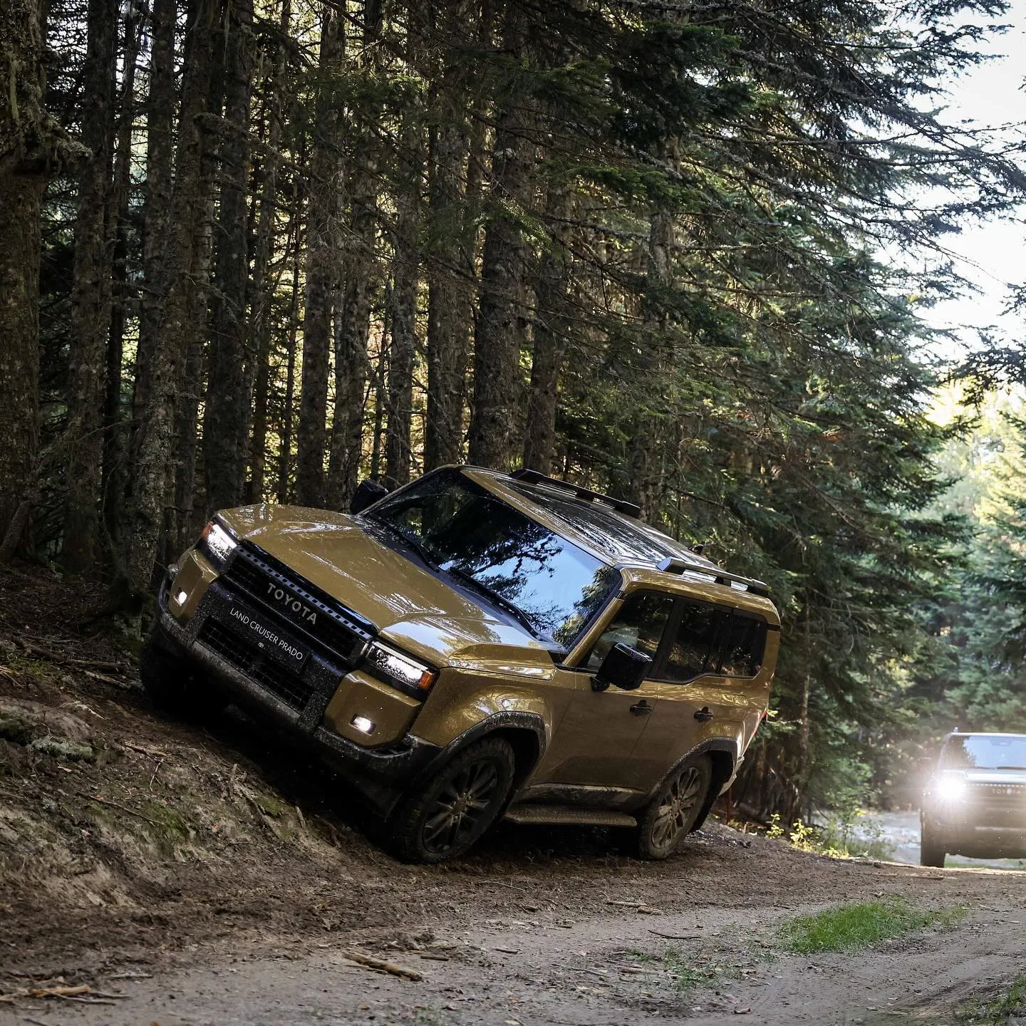 Toyota Land Cruiser Lansman