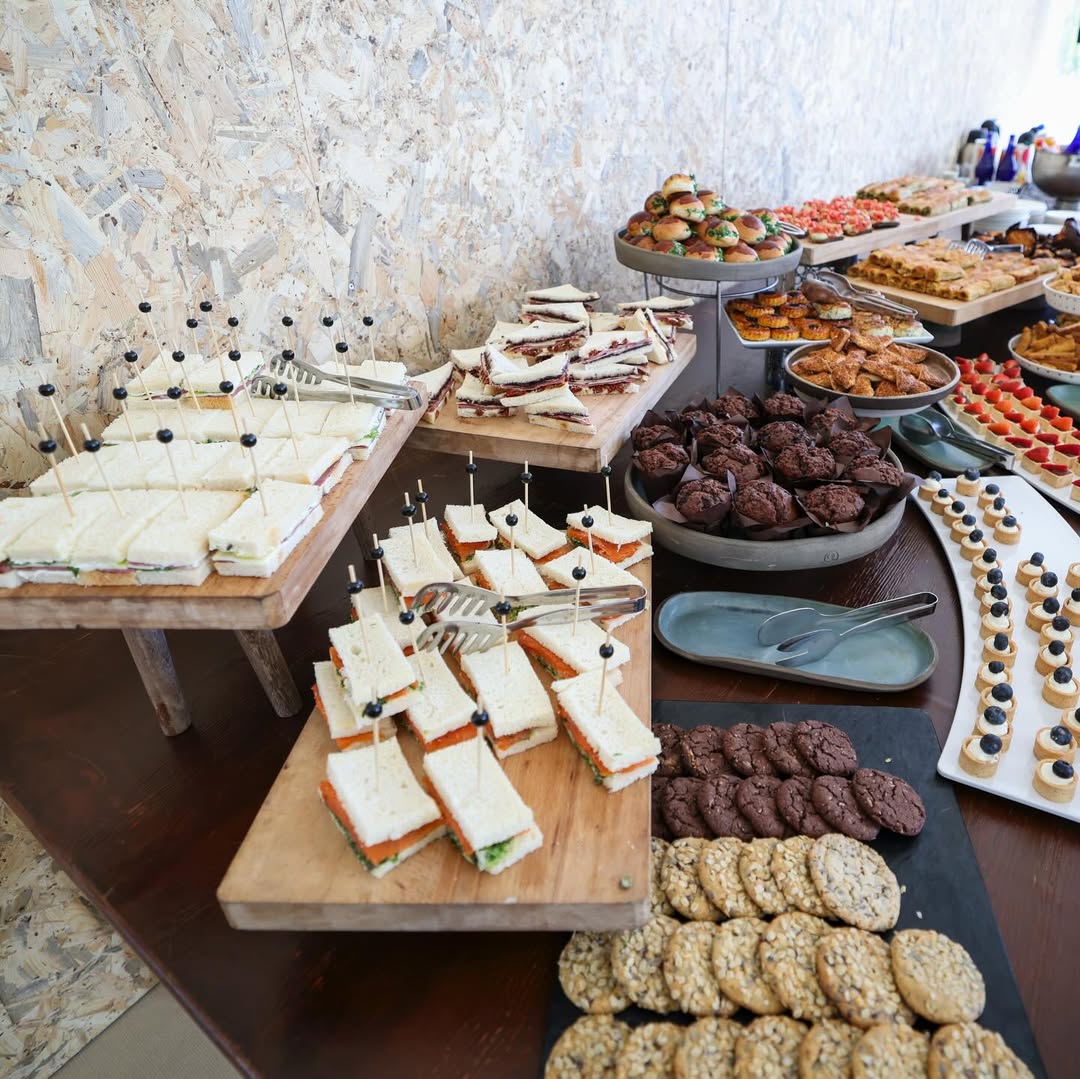 ALJ Türkiye Ağaçlandırma Seferberliği (11)