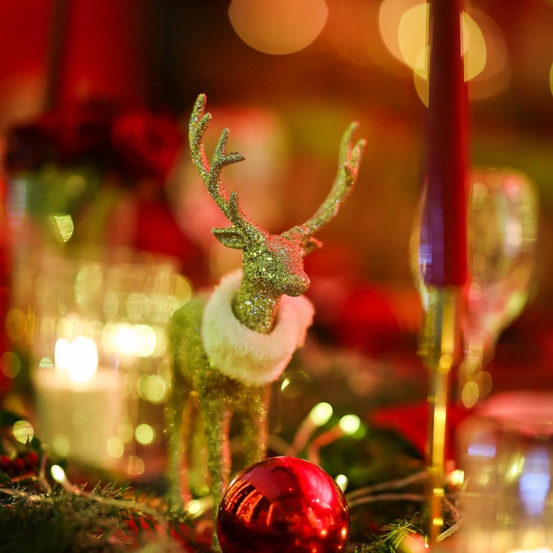 BYD Türkiye Yılbaşı Partisi (11)