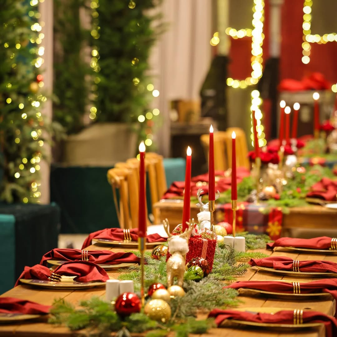 BYD Türkiye Yılbaşı Partisi (14)